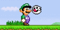 Dumbass Luigi