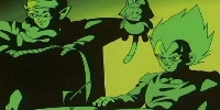 Vegeta Rave
