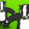 badger! badger! badger! badger!