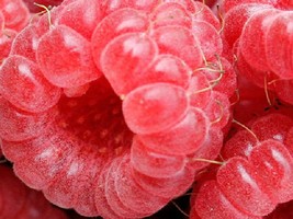 Berries