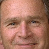 bush trap
