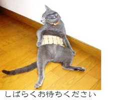 Cats2