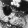 LOL, HappyCat Pirates