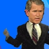 Dancing Bush