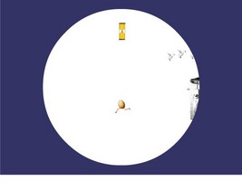 Doubleyolker
