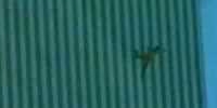free falling save 2