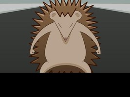 Hedgehog