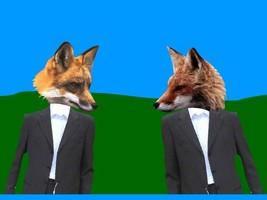 ILoveFoxes