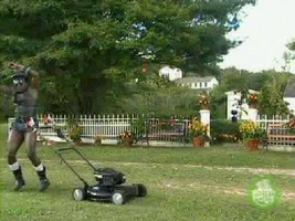 Lawnmower