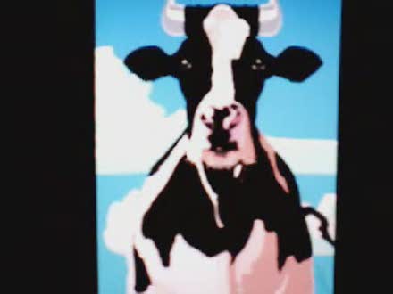 Mad Swearing Cow