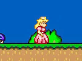 Mario Bros Las Estupideces II