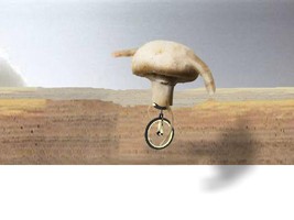 Mushroom Hunting