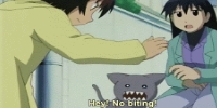 Hey No Biting