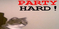 Party Hard!
