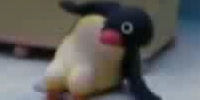 Pingu Spins