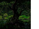 Rainy Forest
