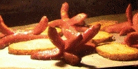 sausage fest