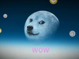 TO THE MOON DOGE