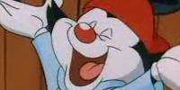 Wakko