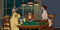 Poker Night - Wildcard