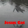 Jesus Cat (Loop)