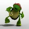 Turtle Rap Dance